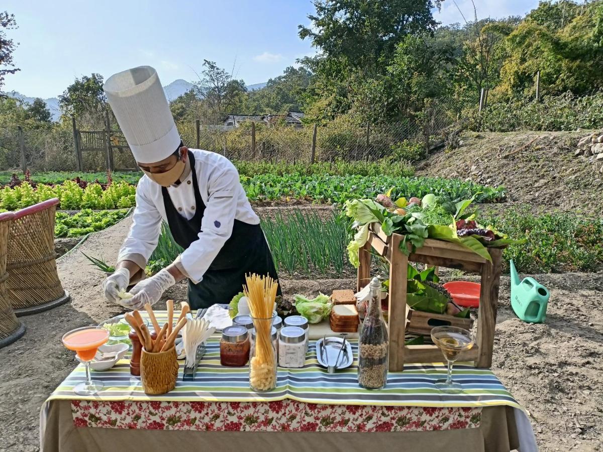 Paatlidun Safari Lodge, Jim Corbett Garjia Extérieur photo